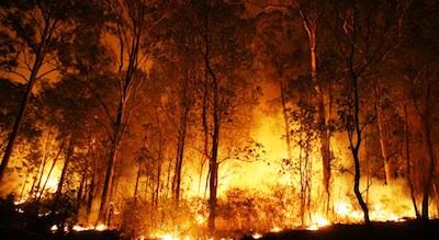 Governo prorroga novamente o período crítico de incêndios florestais